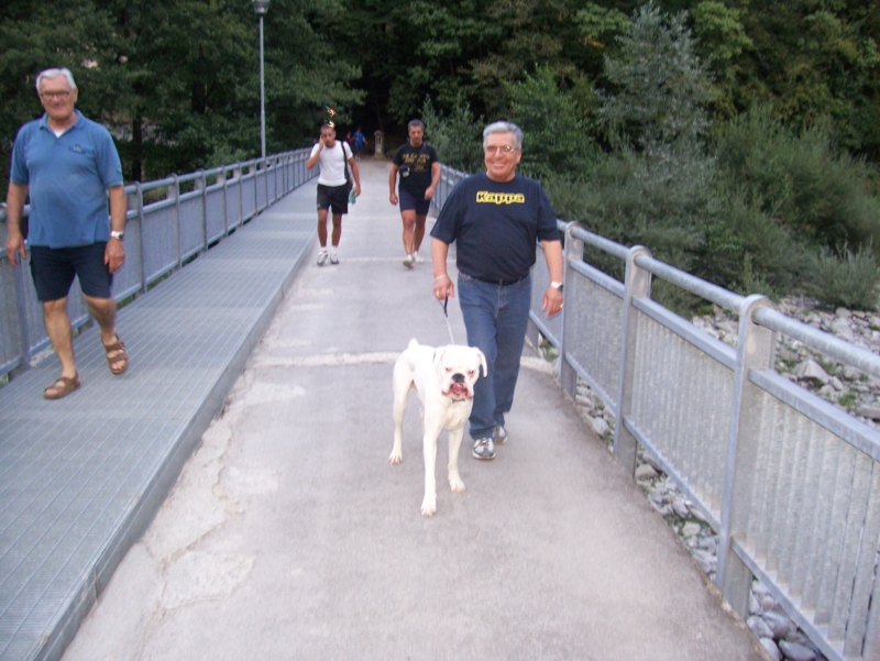  Image name: Calcio53.jpg 
 width: 800 pixel 
 height: 601 pixel 
 Size: 372863 bytes 
 Click to enlarge 